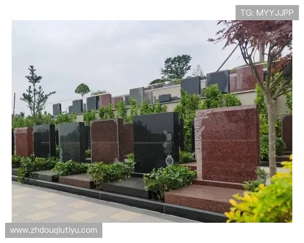 dqiuvip斗球官网常见问题与客服支持服务全方位解答指南