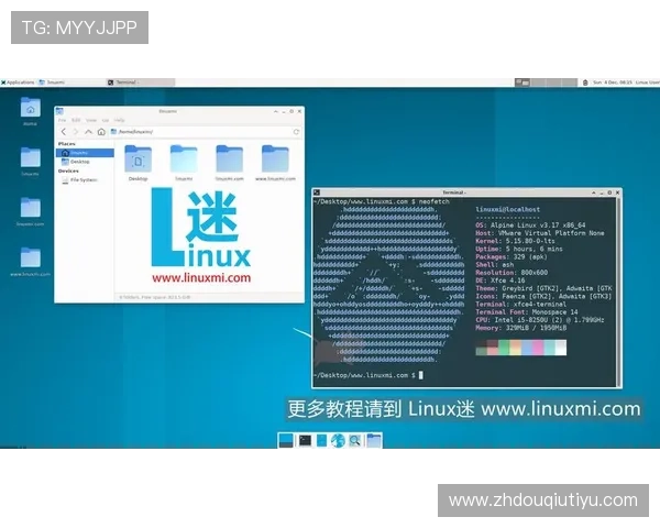 斗球app电脑版下载安装包获取途径,安全下载指南详解
