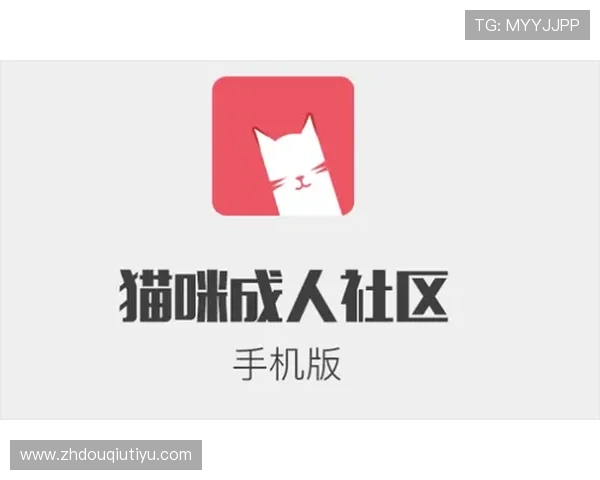 斗球app电脑版官方下载安全可靠，保障你的账号和设备安全