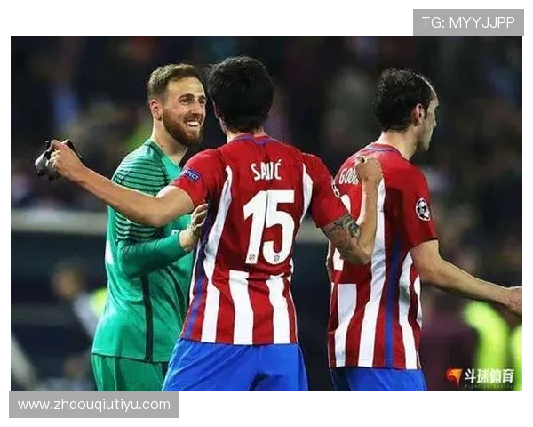 全面解析斗球体育老版本的特色玩法与最新版本的区别